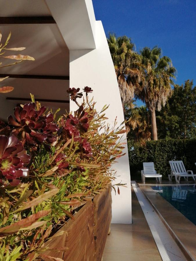 Herdade Da Diabroria - Agroturismo Беха Екстериор снимка